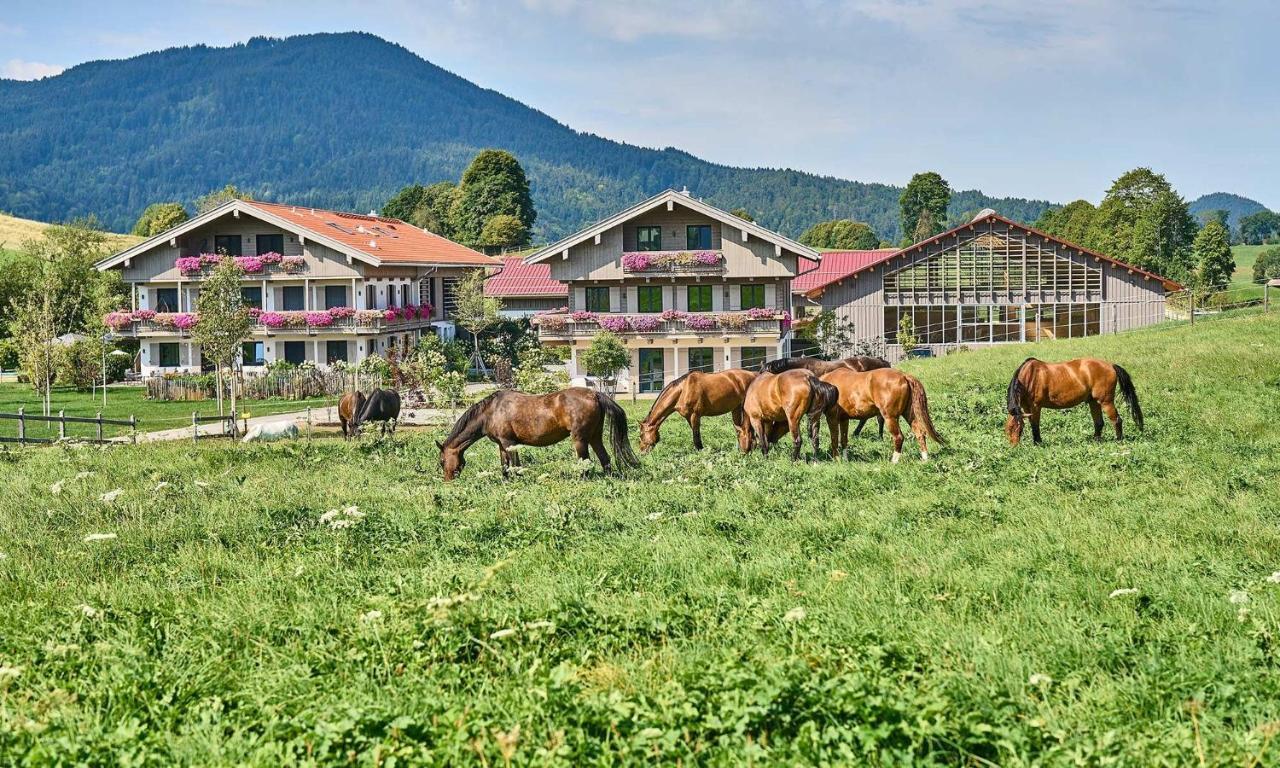 Hof Hauserbichl Fischbachau Dış mekan fotoğraf